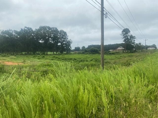 unimproved land for sale at 0 HWY 83 Connector, Monroe, GA 30655 — photo 3