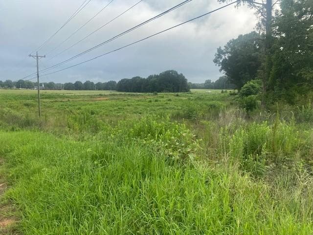 unimproved land for sale at 0 HWY 83 Connector, Monroe, GA 30655 — photo 4