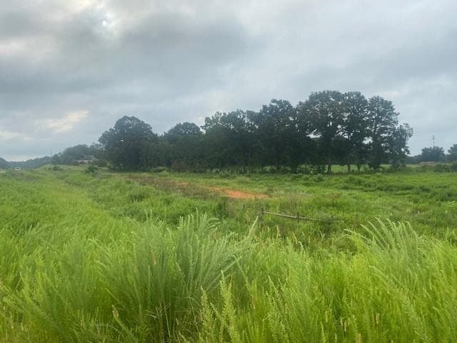 unimproved land for sale at 0 HWY 83 Connector, Monroe, GA 30655 — photo 5
