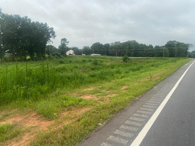 unimproved land for sale at 0 HWY 83 Connector, Monroe, GA 30655 — photo 6