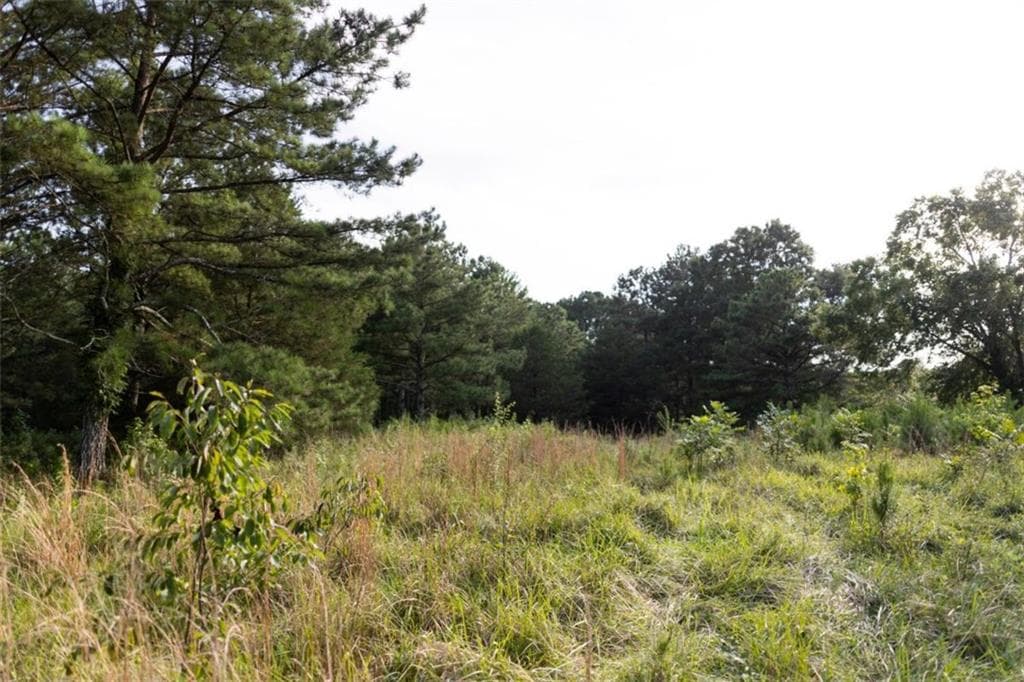 other for sale at 1870 Double Springs Church Road, Monroe, GA 30656 — photo 4