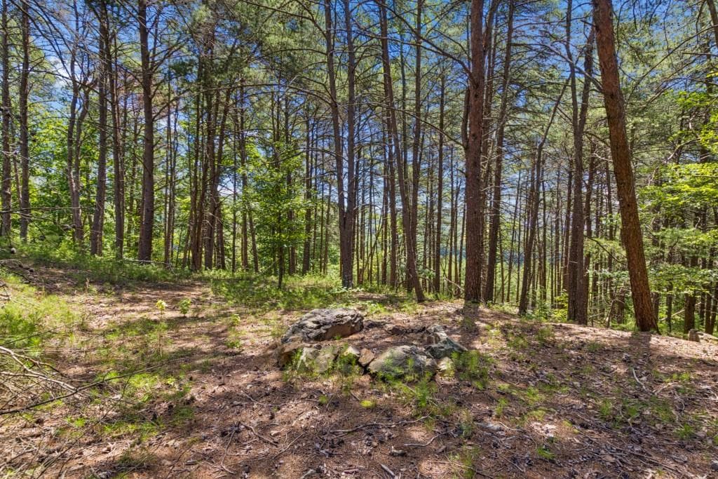 unimproved land for sale at 2709 Jamerson Road, Marietta, GA 30066 — photo 10