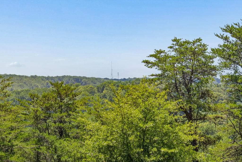 unimproved land for sale at 2709 Jamerson Road, Marietta, GA 30066 — photo 6