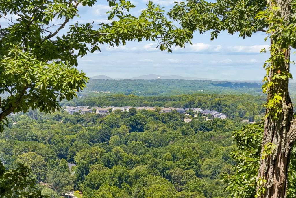 unimproved land for sale at 2709 Jamerson Road, Marietta, GA 30066 — photo 5