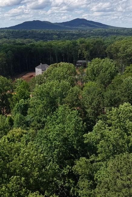 5 bedroom, 6 bathroom, 4,300 sq ft single family residence for sale at 012 Highvale Drive, Marietta, GA 30064 — photo 5