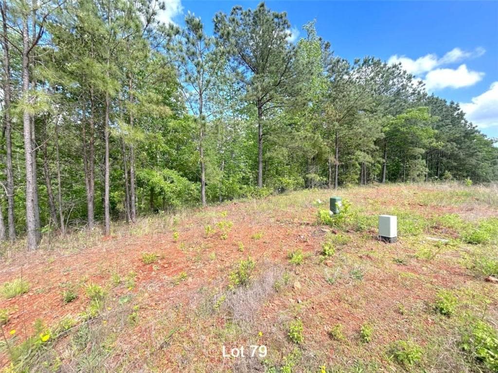unimproved land for sale at 190 Oakdale Way, Temple, GA 30179 — photo 3