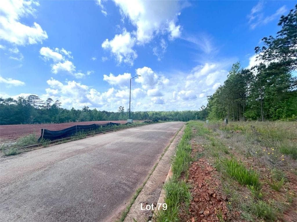 unimproved land for sale at 190 Oakdale Way, Temple, GA 30179 — photo 4