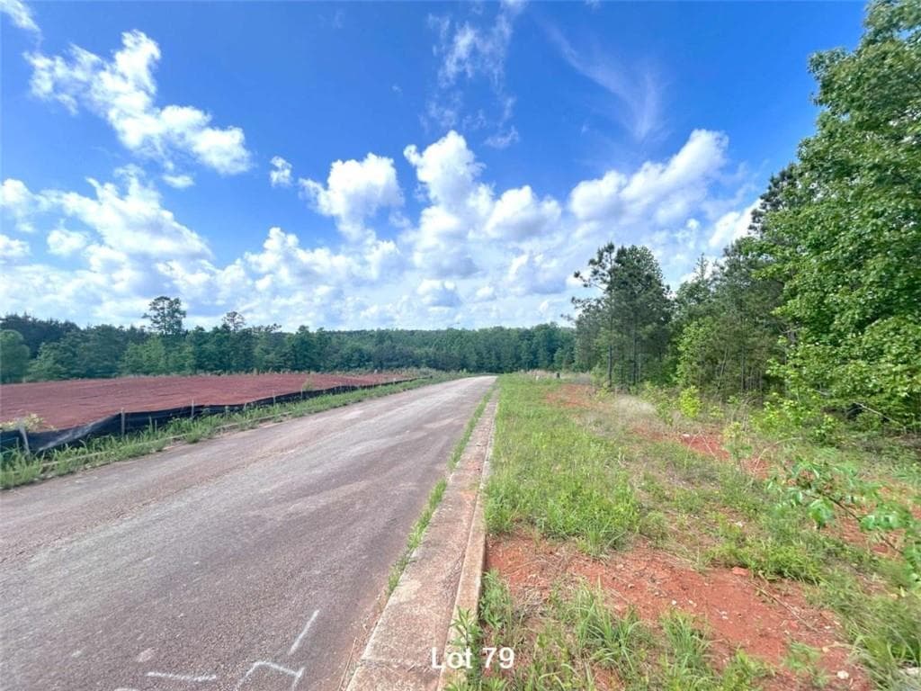 unimproved land for sale at 190 Oakdale Way, Temple, GA 30179 — photo 5