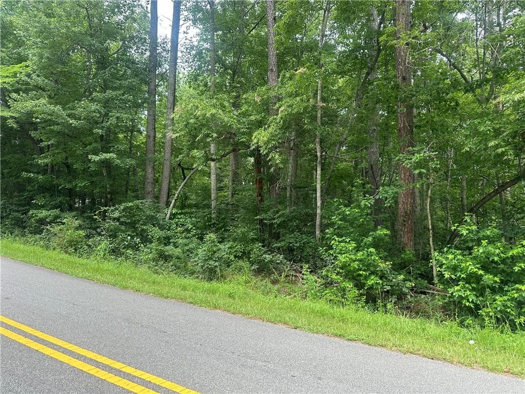 unimproved land for sale at 5281 N Forest Boulevard, Gainesville, GA 30506 — photo 1 of 8