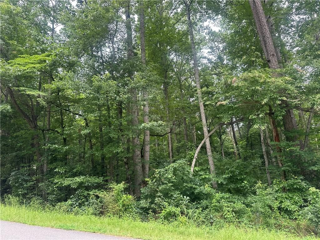 unimproved land for sale at 5281 N Forest Boulevard, Gainesville, GA 30506 — photo 2