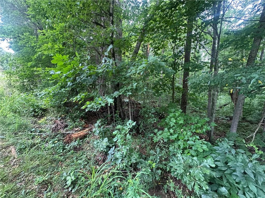 unimproved land for sale at 5281 N Forest Boulevard, Gainesville, GA 30506 — photo 3