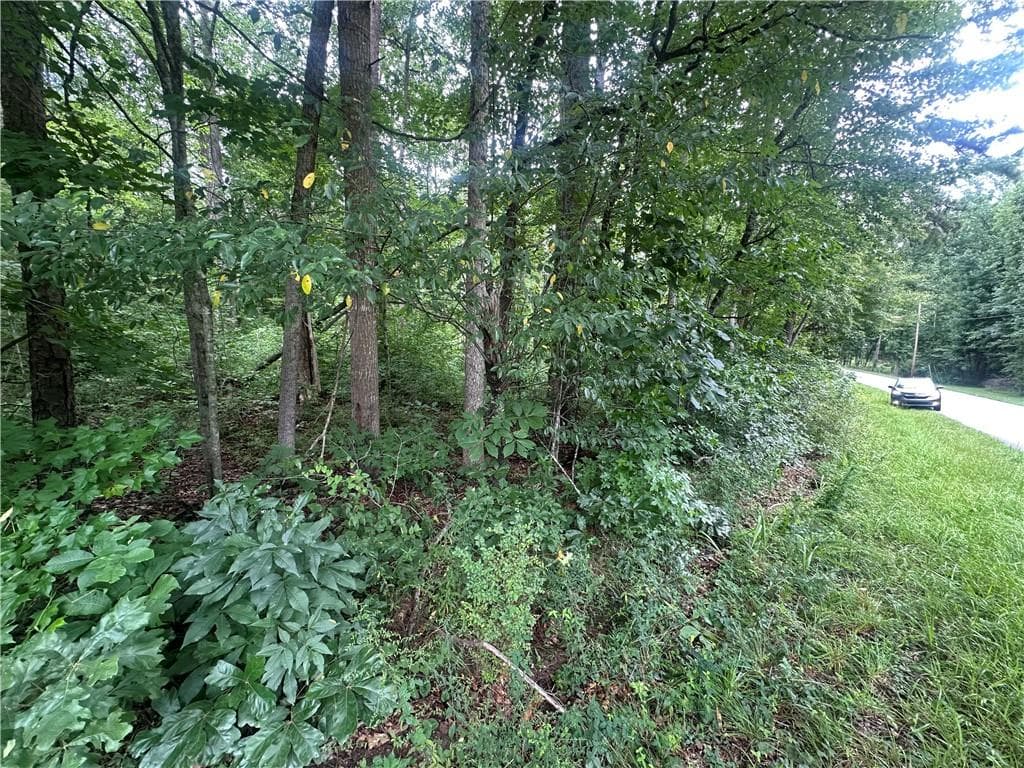 unimproved land for sale at 5281 N Forest Boulevard, Gainesville, GA 30506 — photo 4