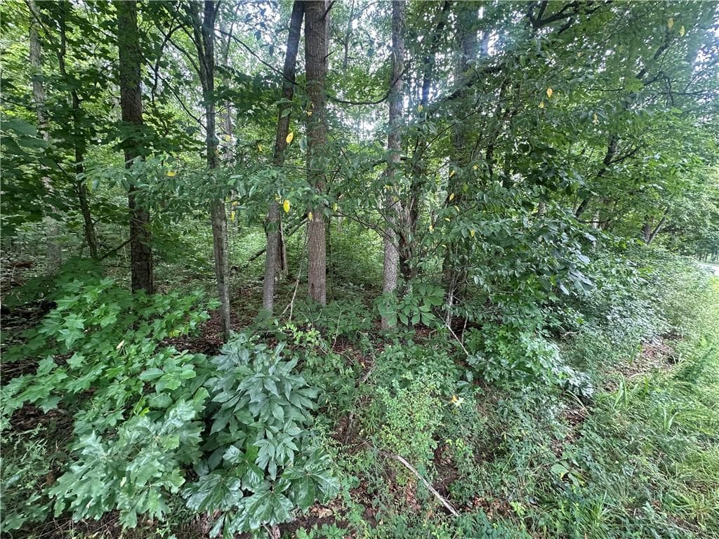 unimproved land for sale at 5281 N Forest Boulevard, Gainesville, GA 30506 — photo 5