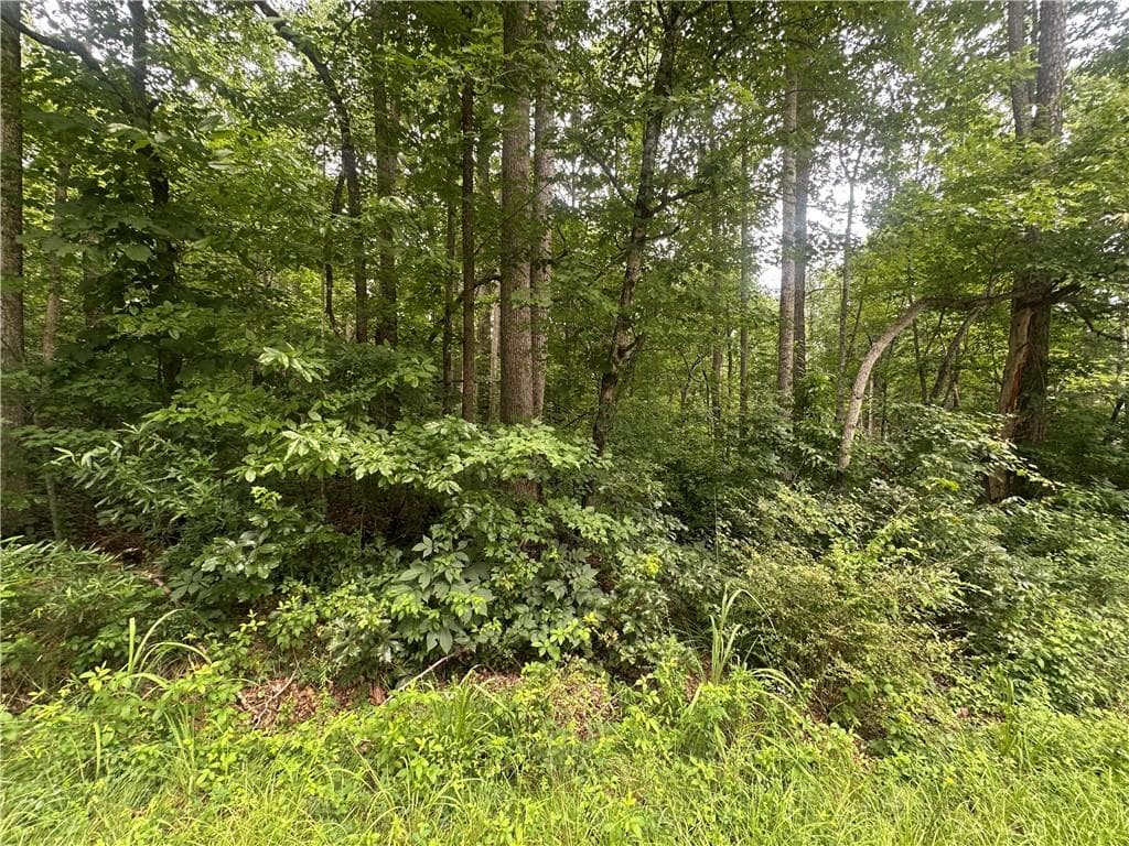 unimproved land for sale at 5281 N Forest Boulevard, Gainesville, GA 30506 — photo 6