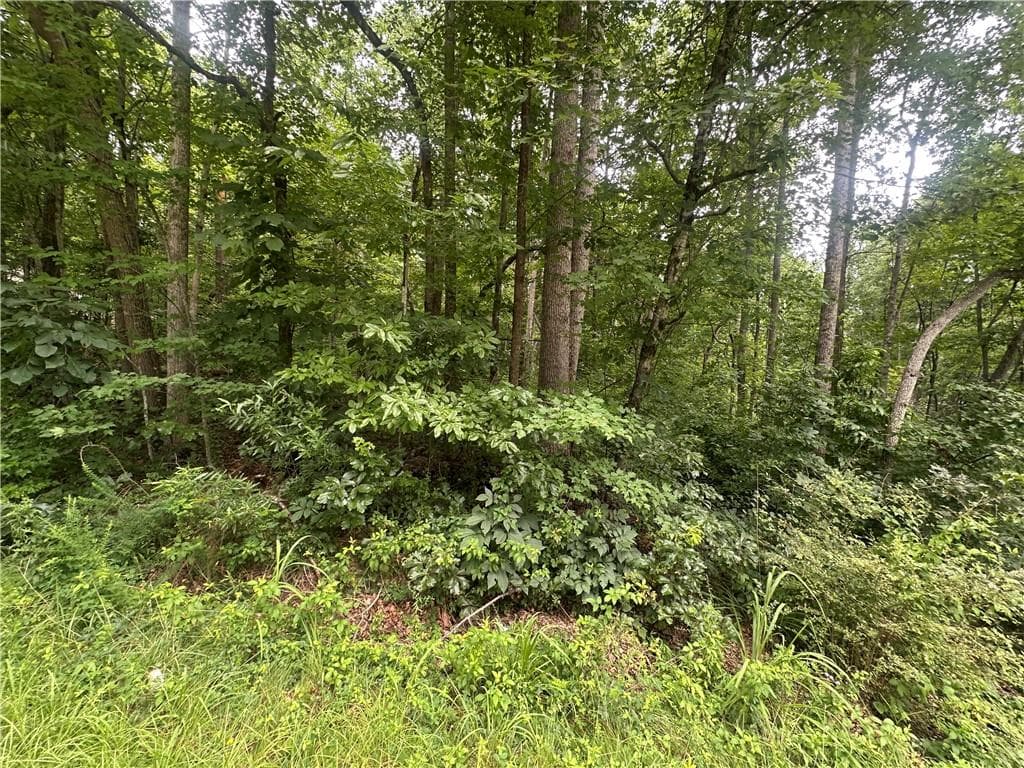 unimproved land for sale at 5281 N Forest Boulevard, Gainesville, GA 30506 — photo 7