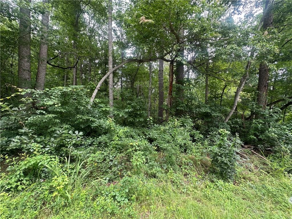 unimproved land for sale at 5281 N Forest Boulevard, Gainesville, GA 30506 — photo 8