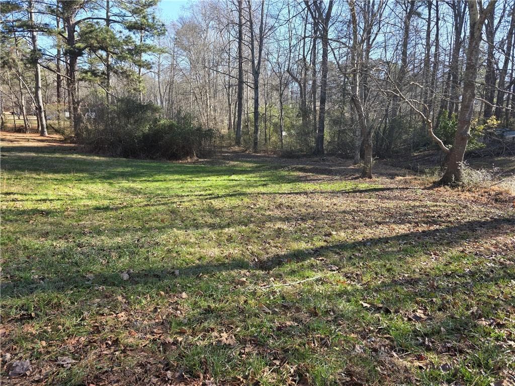 unimproved land for sale at 0 Aiken Place, Dallas, GA 30157 — photo 2