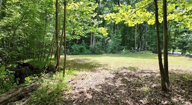 unimproved land for sale at 6260 White Mill Road, Fairburn, GA 30213 — photo 1 of 9