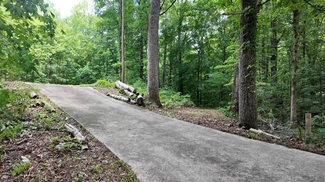 unimproved land for sale at 6260 White Mill Road, Fairburn, GA 30213 — photo 2
