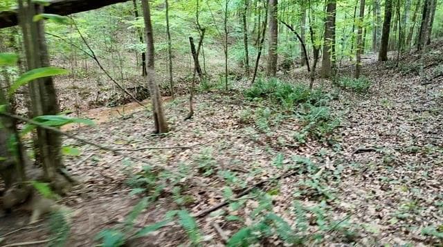 unimproved land for sale at 6260 White Mill Road, Fairburn, GA 30213 — photo 5