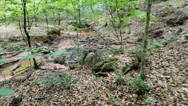 unimproved land for sale at 6260 White Mill Road, Fairburn, GA 30213 — photo 4