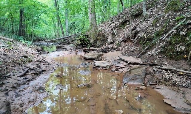 unimproved land for sale at 6260 White Mill Road, Fairburn, GA 30213 — photo 3