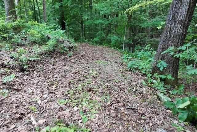 unimproved land for sale at 6260 White Mill Road, Fairburn, GA 30213 — photo 7