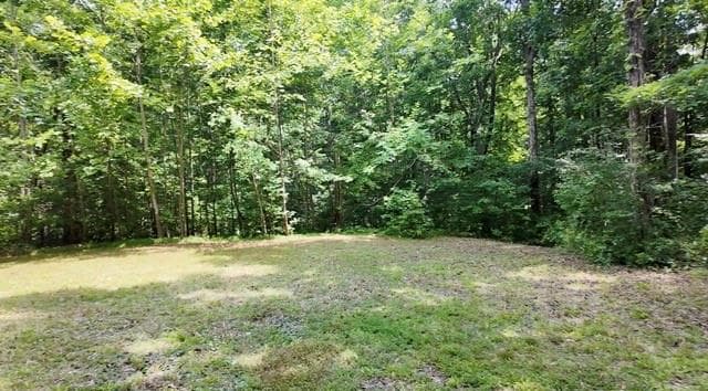 unimproved land for sale at 6260 White Mill Road, Fairburn, GA 30213 — photo 8