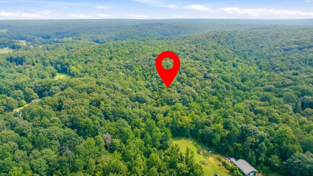 unimproved land for sale at 4215 Whiporwill Road, Gillsville, GA 30543 — photo 2