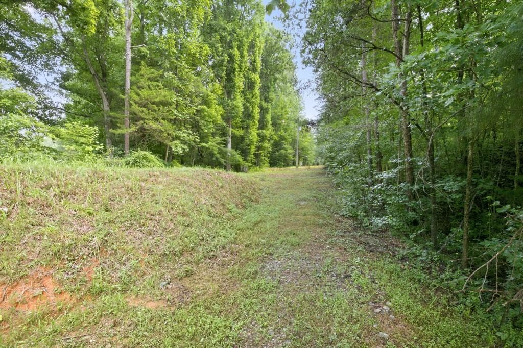 unimproved land for sale at 4215 Whiporwill Road, Gillsville, GA 30543 — photo 5