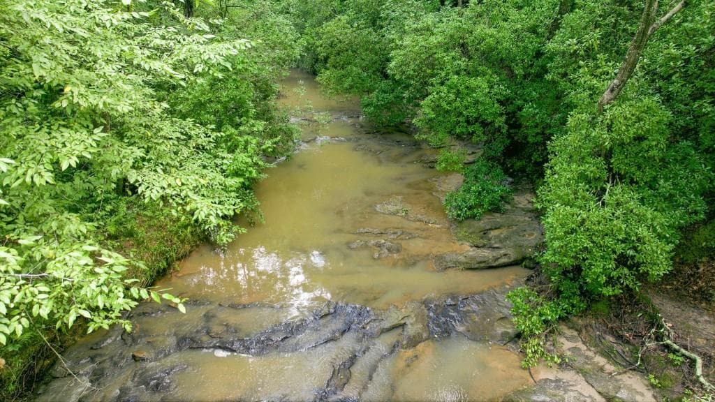 unimproved land for sale at 4215 Whiporwill Road, Gillsville, GA 30543 — photo 6