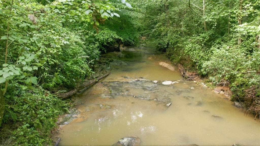 unimproved land for sale at 4215 Whiporwill Road, Gillsville, GA 30543 — photo 7