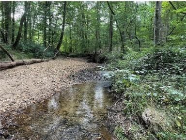 unimproved land for sale at 4215 Whiporwill Road, Gillsville, GA 30543 — photo 9