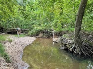 unimproved land for sale at 4215 Whiporwill Road, Gillsville, GA 30543 — photo 10