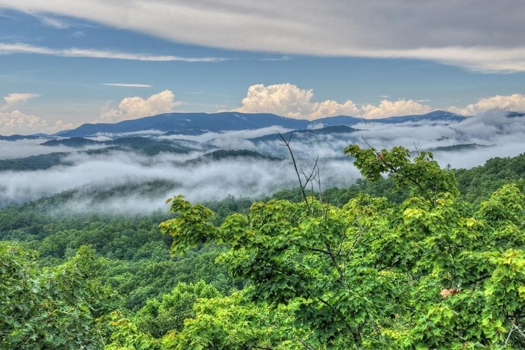 other for sale at 1138 Douglas Mountain Trail, Ellijay, GA 30540 — photo 2