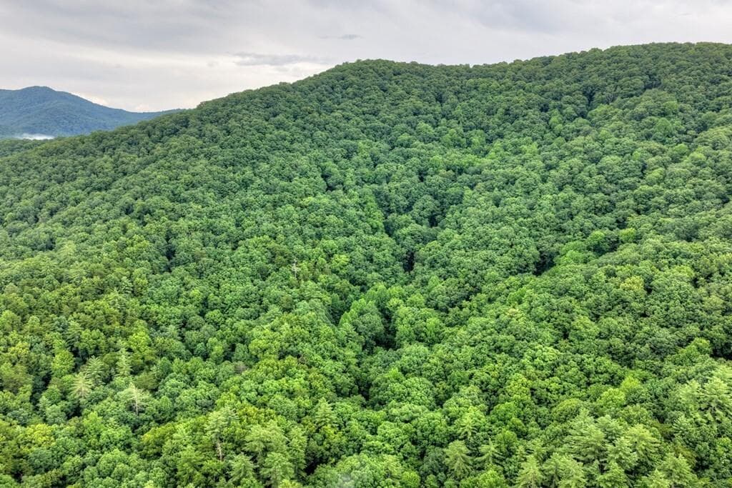other for sale at 1138 Douglas Mountain Trail, Ellijay, GA 30540 — photo 3