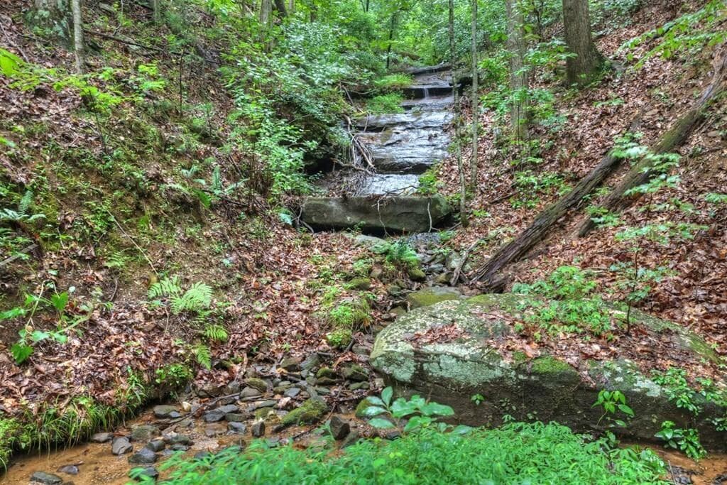 other for sale at 1138 Douglas Mountain Trail, Ellijay, GA 30540 — photo 4