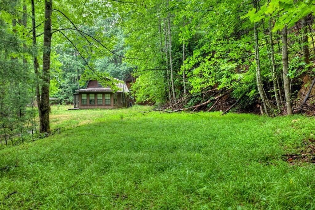 other for sale at 1138 Douglas Mountain Trail, Ellijay, GA 30540 — photo 8
