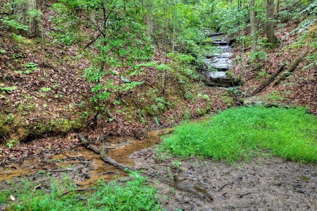 other for sale at 1138 Douglas Mountain Trail, Ellijay, GA 30540 — photo 9