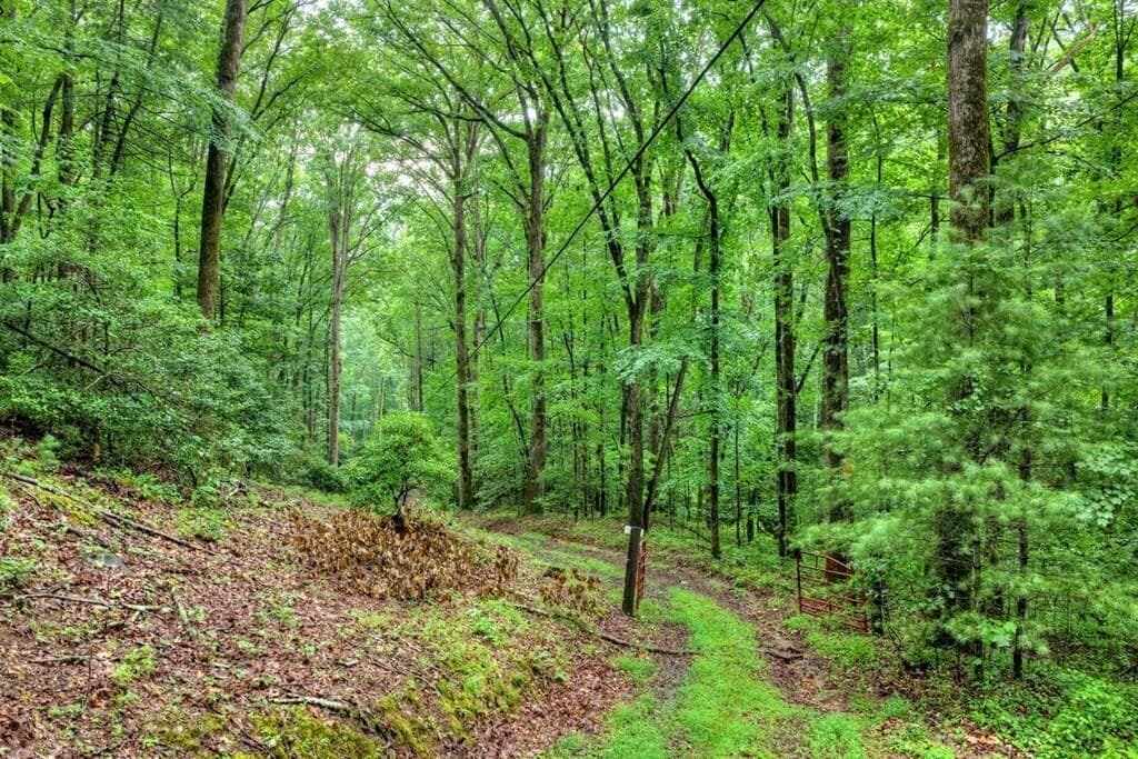 other for sale at 1138 Douglas Mountain Trail, Ellijay, GA 30540 — photo 10
