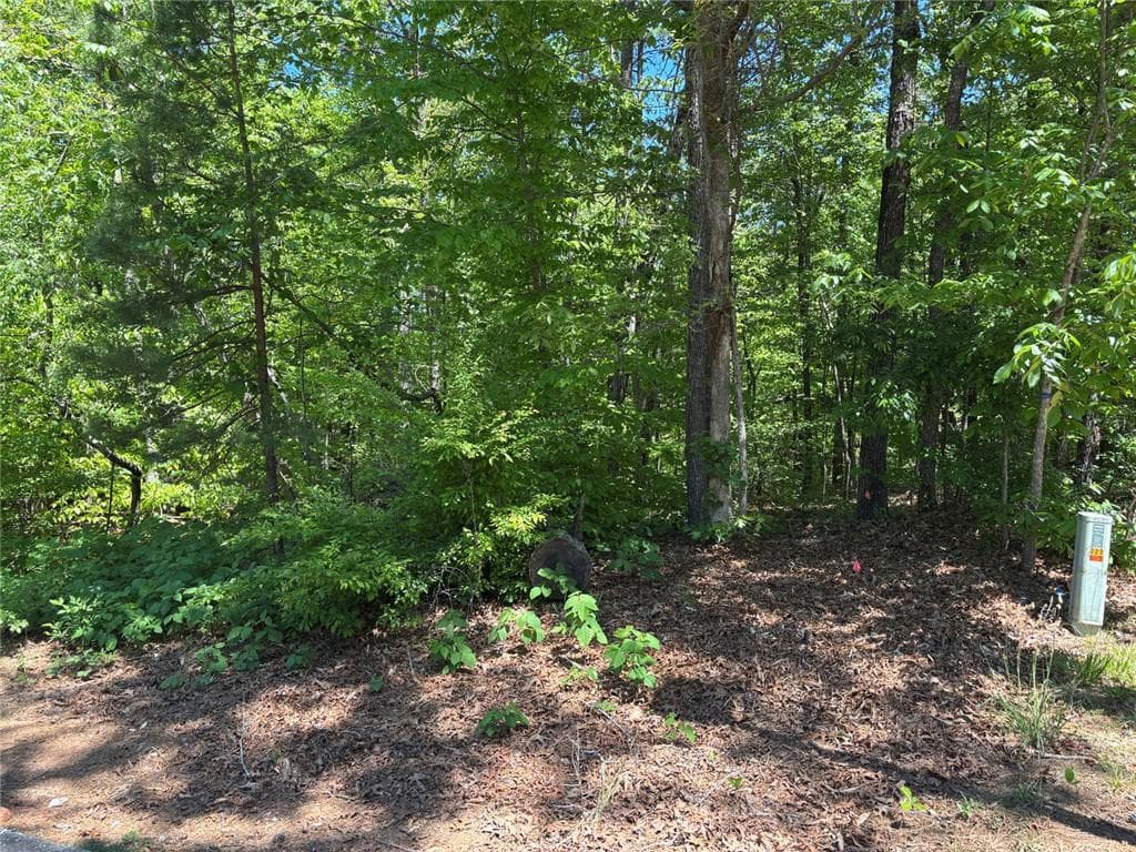 1 bedroom, 1 bathroom single family residence for sale at Lot 15 Cross Creek Drive, Toccoa, GA 30577 — photo 2