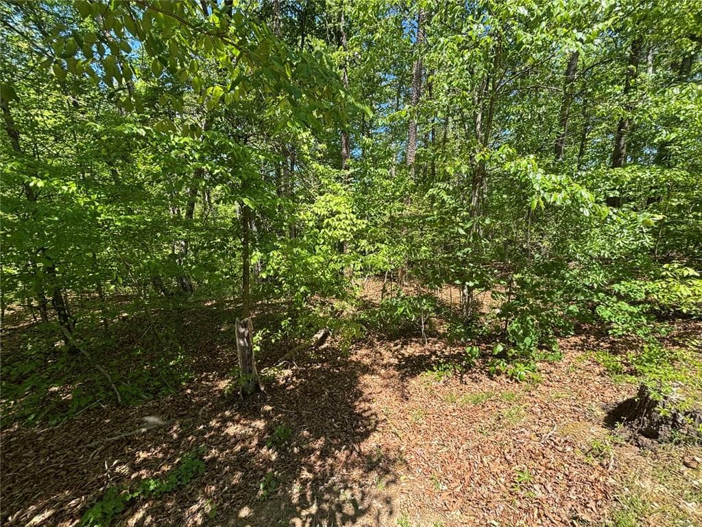 1 bedroom, 1 bathroom single family residence for sale at Lot 15 Cross Creek Drive, Toccoa, GA 30577 — photo 4