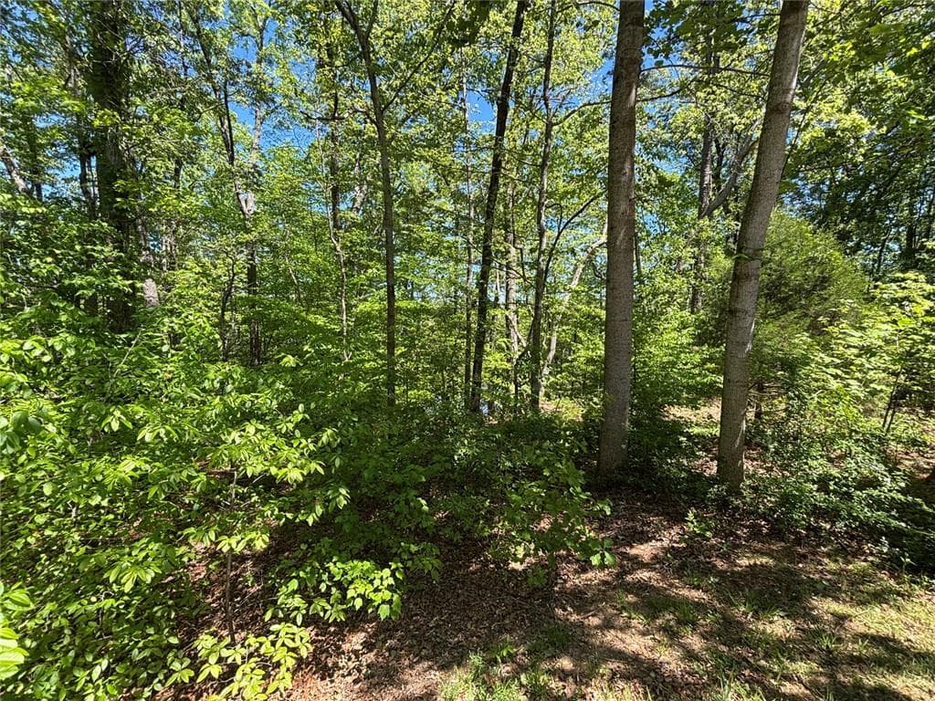 1 bedroom, 1 bathroom single family residence for sale at Lot 15 Cross Creek Drive, Toccoa, GA 30577 — photo 5