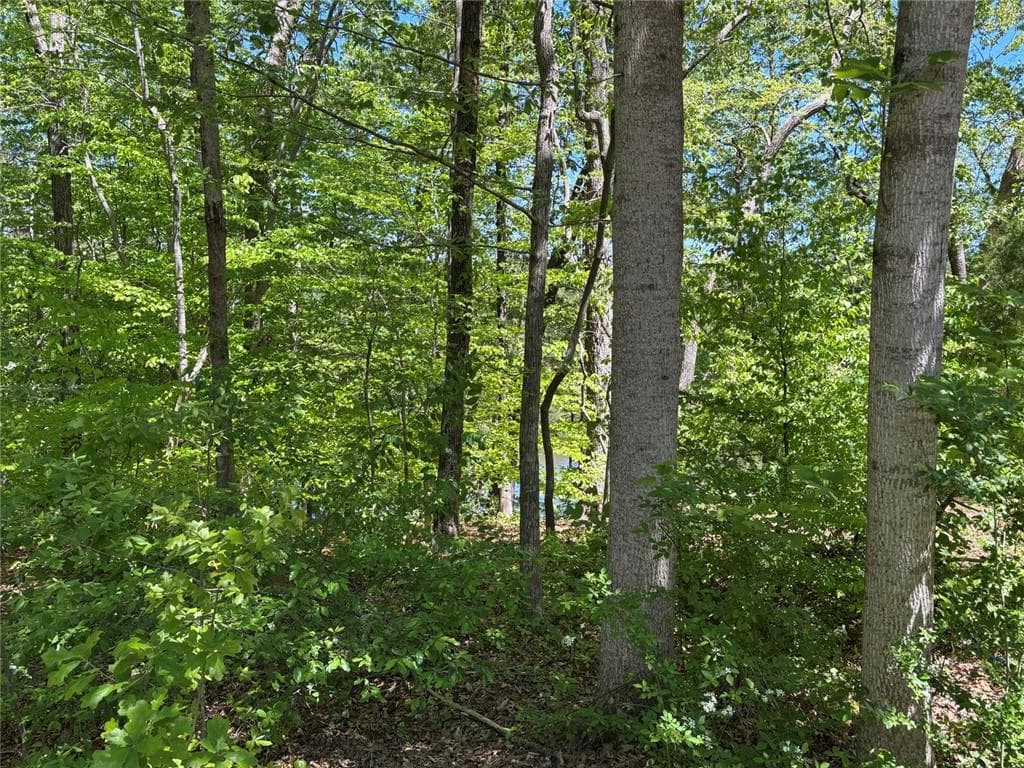 1 bedroom, 1 bathroom single family residence for sale at Lot 15 Cross Creek Drive, Toccoa, GA 30577 — photo 6