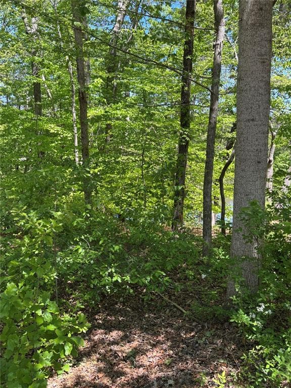 1 bedroom, 1 bathroom single family residence for sale at Lot 15 Cross Creek Drive, Toccoa, GA 30577 — photo 7