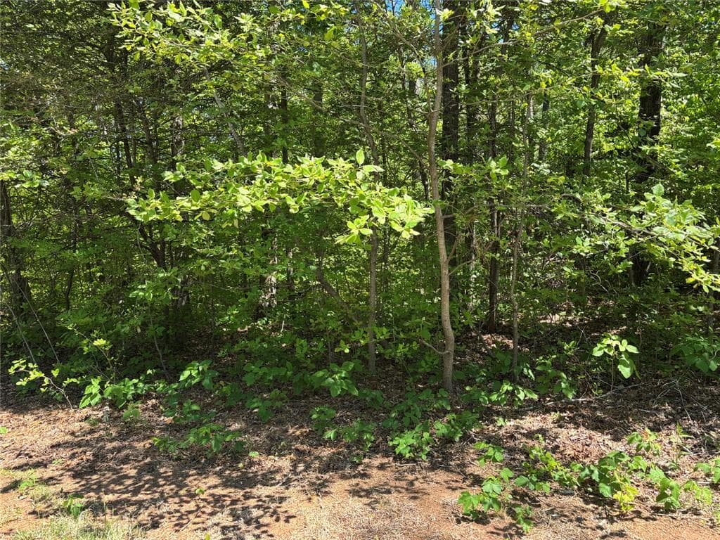 1 bedroom, 1 bathroom single family residence for sale at Lot 15 Cross Creek Drive, Toccoa, GA 30577 — photo 8