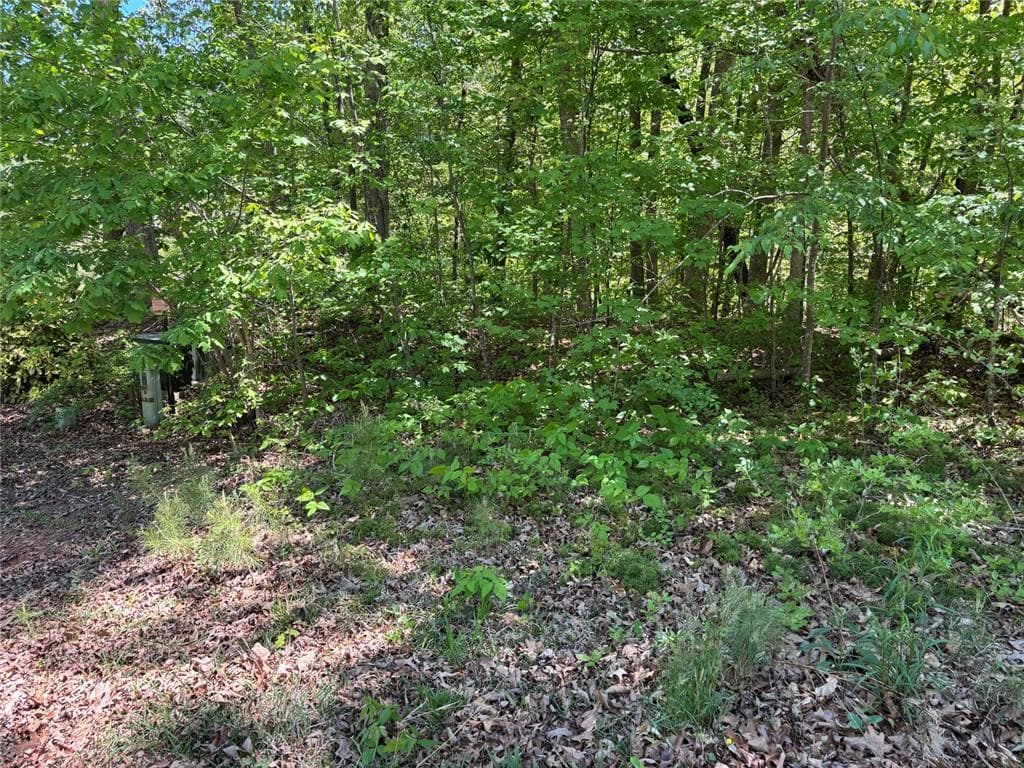 1 bedroom, 1 bathroom single family residence for sale at Lot 15 Cross Creek Drive, Toccoa, GA 30577 — photo 9