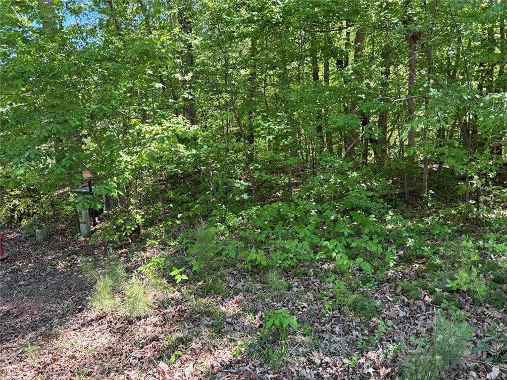 1 bedroom, 1 bathroom single family residence for sale at Lot 15 Cross Creek Drive, Toccoa, GA 30577 — photo 10