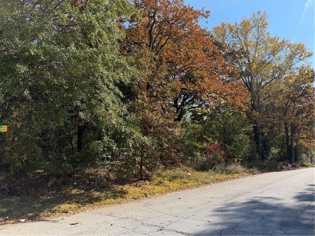 unimproved land for sale at 4819 Glenwood Road, Decatur, GA 30035 — photo 5