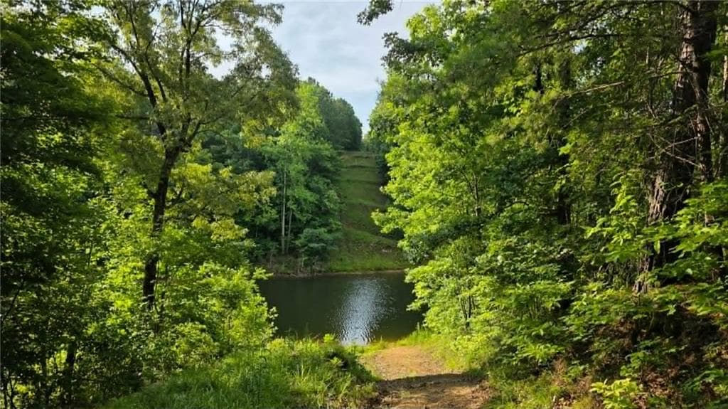 unimproved land for sale at 0 Lucas Lane, Dallas, GA 30132